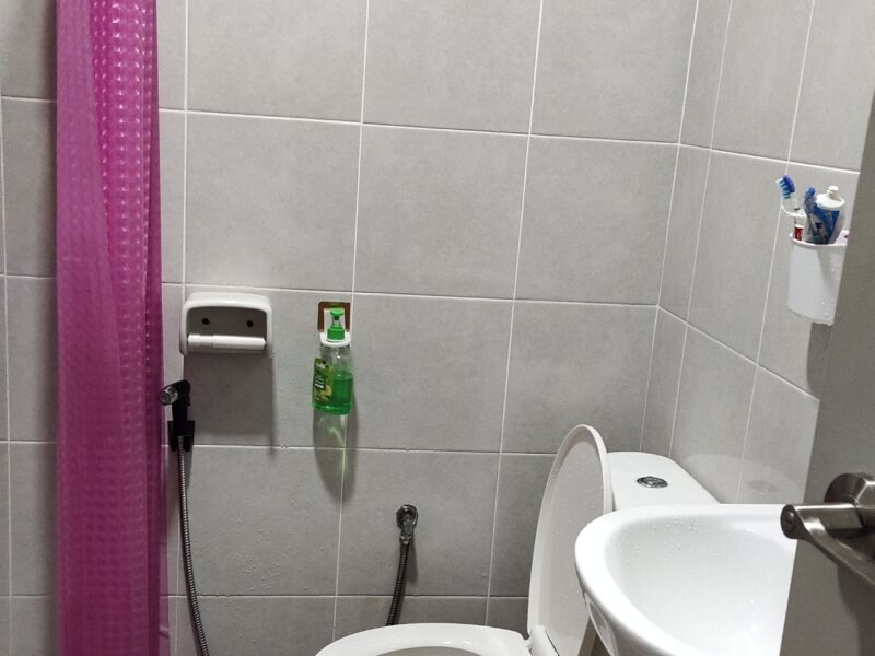Looking for housemate