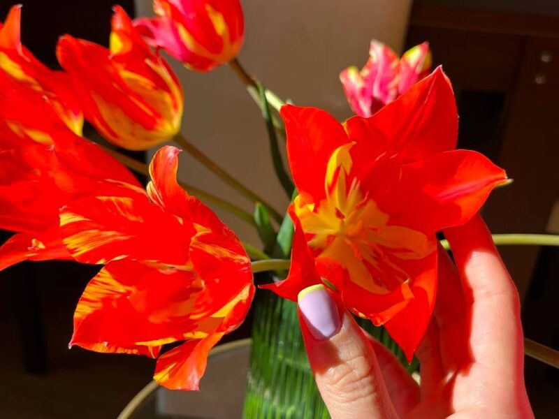 We Have Sugar Mummy and Daddy in Mostly all main Cities in Malaysia